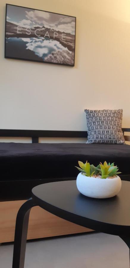 Apartament Grenoble Hyper-Centre + Wifi + Netflix Zewnętrze zdjęcie